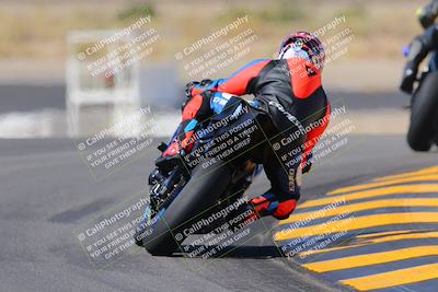 media/Oct-08-2022-SoCal Trackdays (Sat) [[1fc3beec89]]/Turn 11 Backside (1145am)/